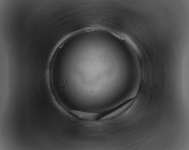 X0000095681100200801081224