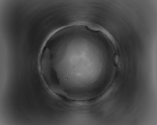 X0000095681102200801081224