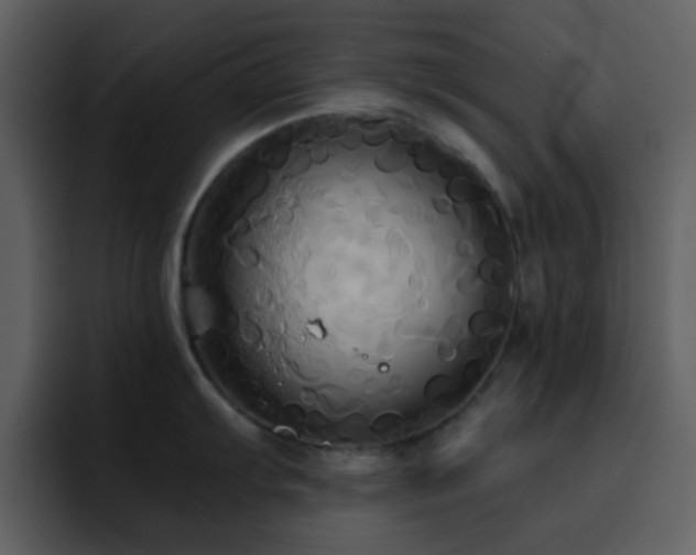 X0000095681103200801081224