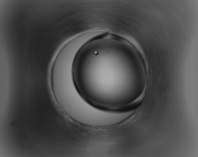 X0000095681104200801081224