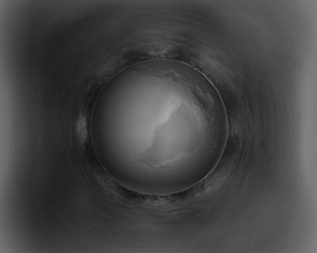 X0000095681106200801081223
