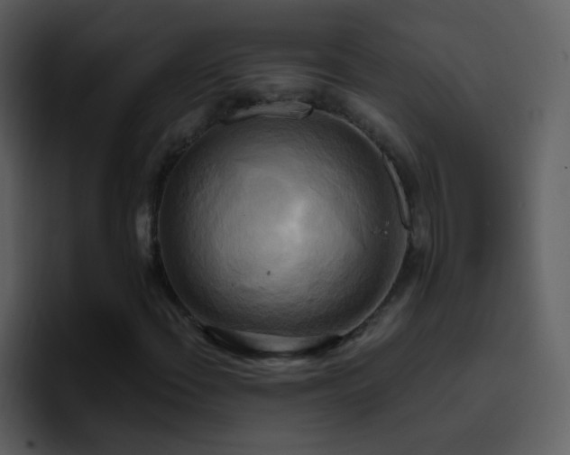 X0000095681108200801081223