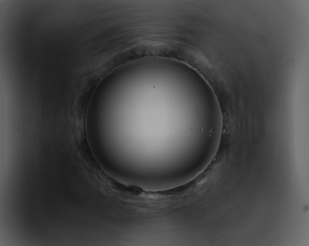 X0000095681109200801081223