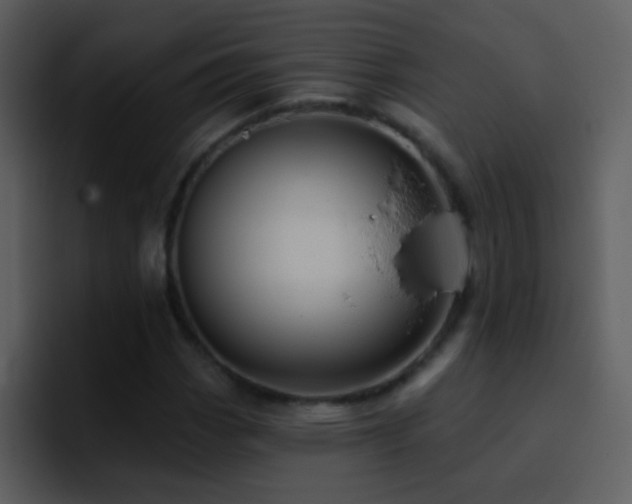 X0000095681113200801081223