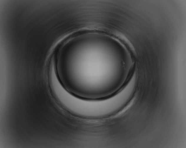 X0000095681114200801081223