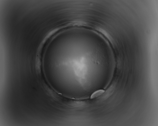 X0000095681115200801081223