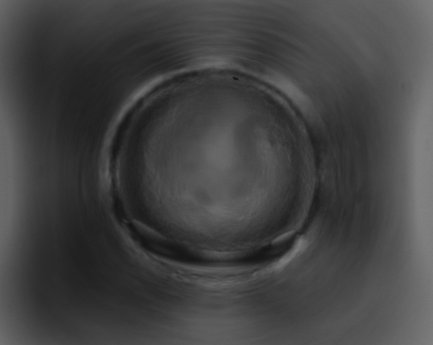 X0000095681118200801081223
