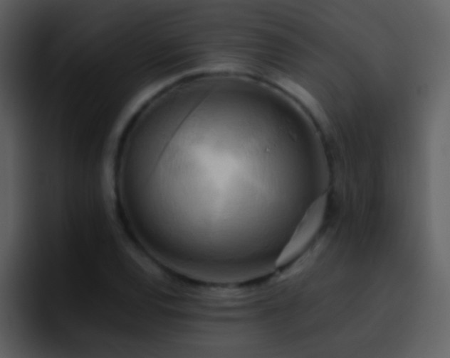 X0000095681120200801081223