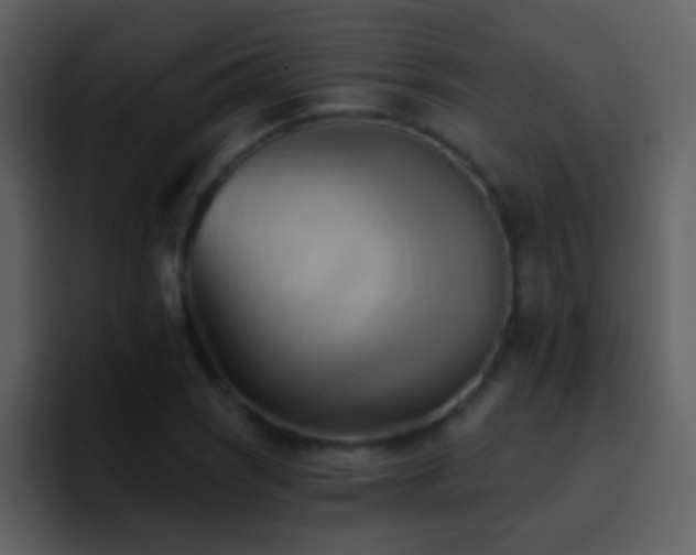 X0000095681121200801081223