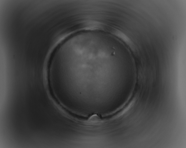 X0000095681122200801081223