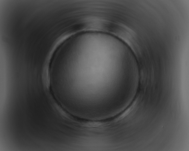 X0000095681123200801081223