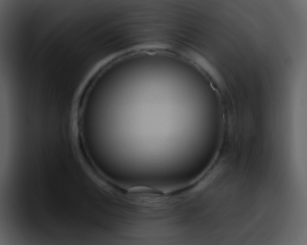 X0000095681124200801081223