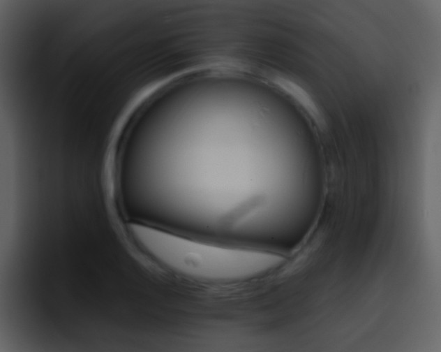X0000095681128200801081223
