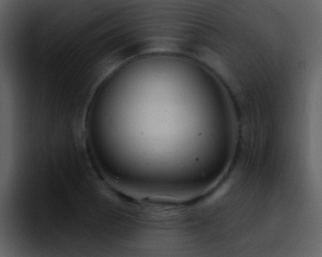 X0000095681129200801081223