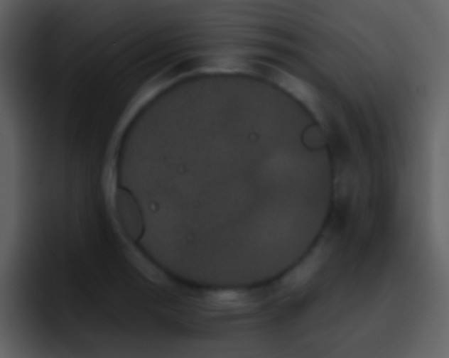 X0000095681130200801081223
