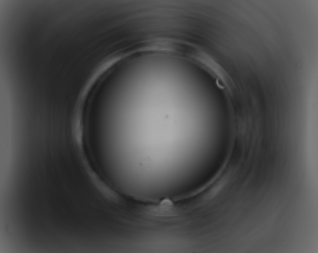 X0000095681131200801081223