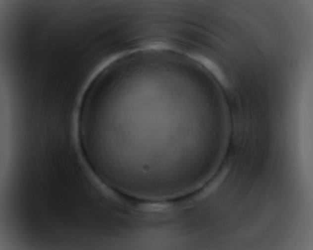 X0000095681134200801081223