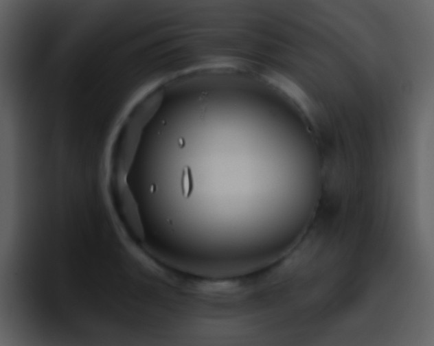 X0000095681135200801081223