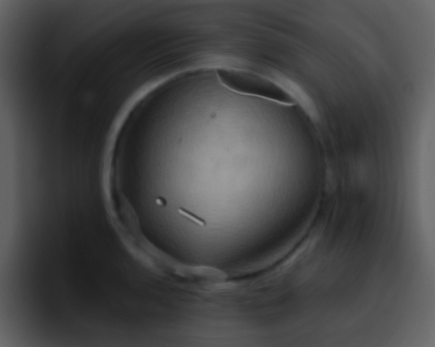 X0000095681136200801081223