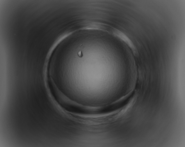 X0000095681138200801081223