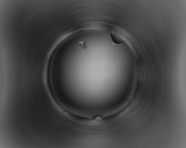 X0000095681139200801081223