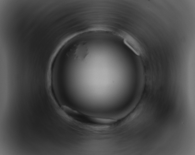 X0000095681140200801081223