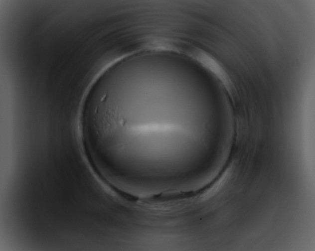 X0000095681141200801081223