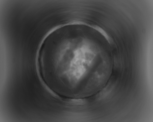 X0000095681142200801081224