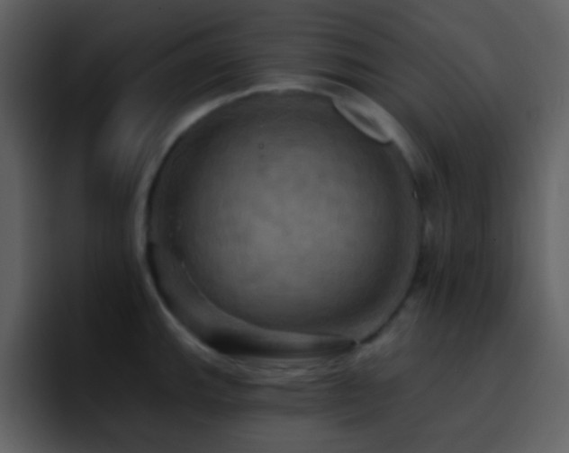 X0000095681143200801081224