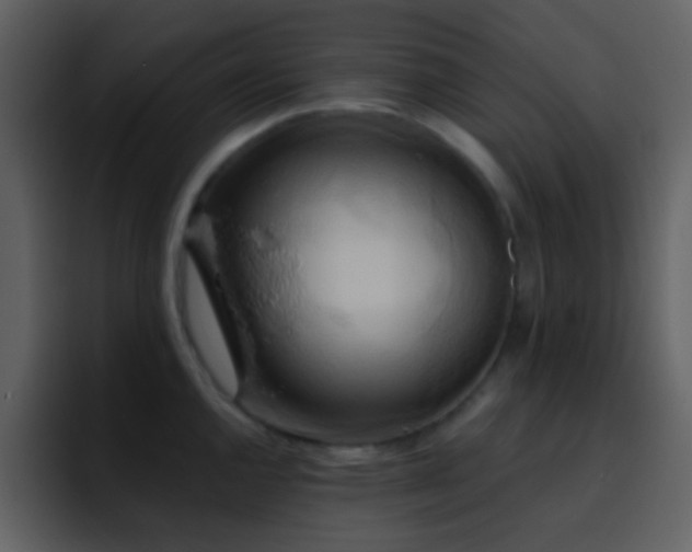 X0000095681144200801081224
