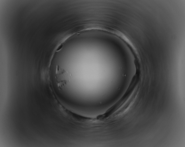 X0000095681145200801081224