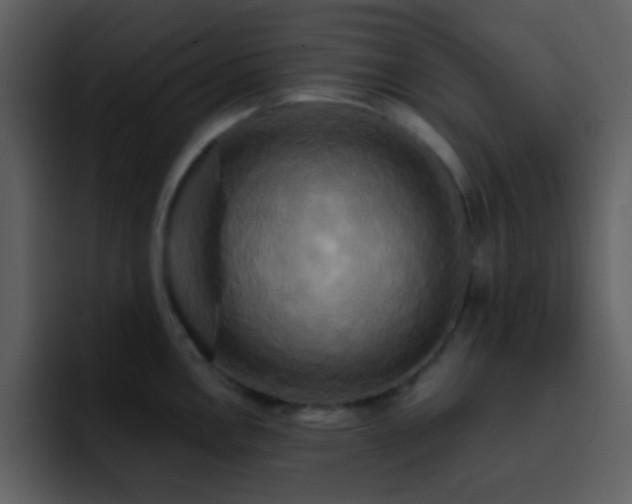 X0000095681146200801081224
