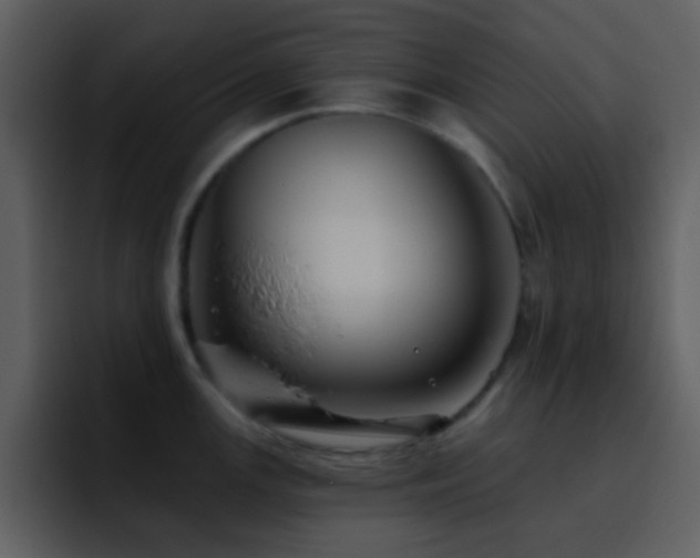 X0000095681147200801081224