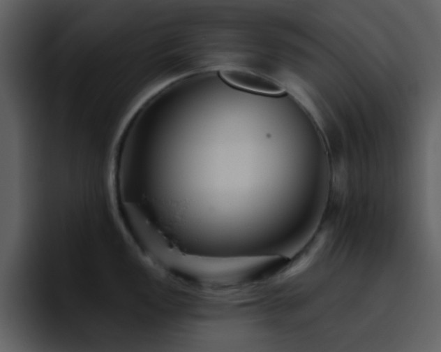 X0000095681149200801081224