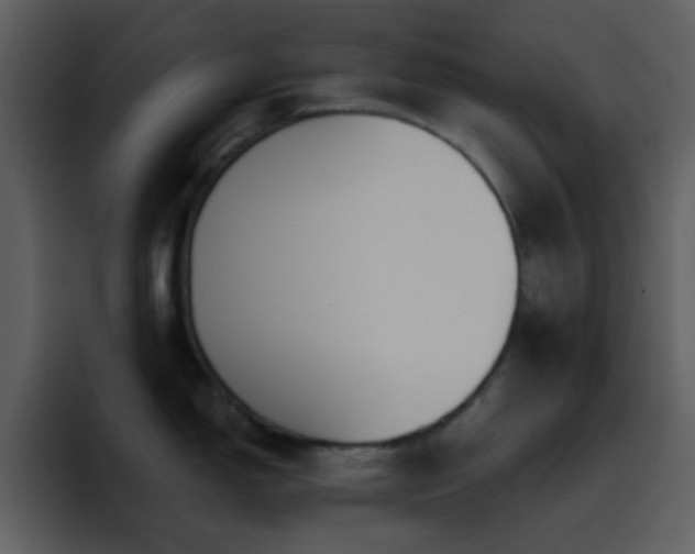X0000095681150200801081224