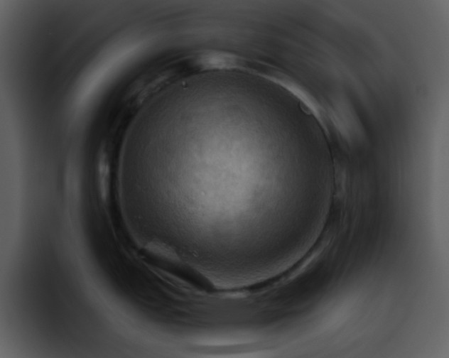 X0000095681151200801081224