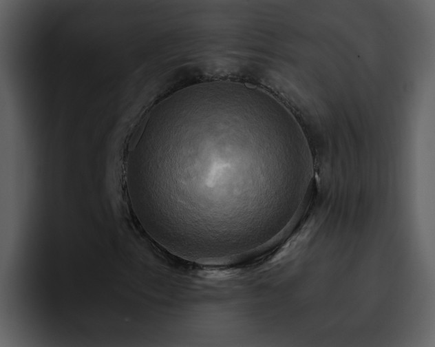 X0000095681153200801081223
