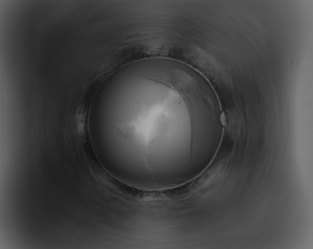 X0000095681154200801081223