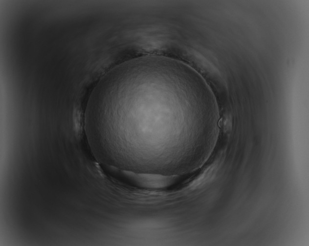 X0000095681156200801081223