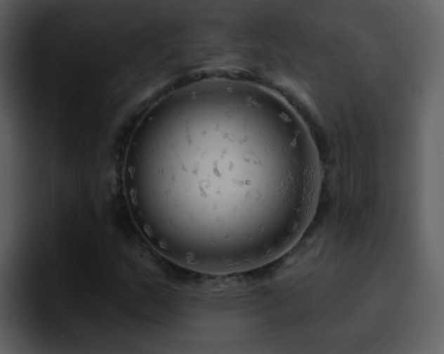 X0000095681159200801081223