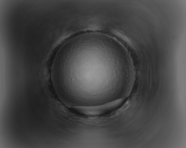 X0000095681160200801081223