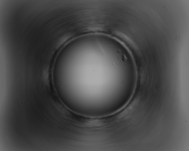 X0000095681162200801081223