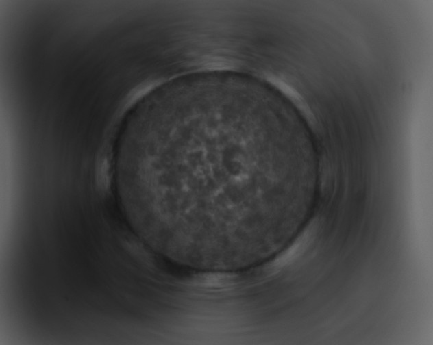 X0000095681163200801081223