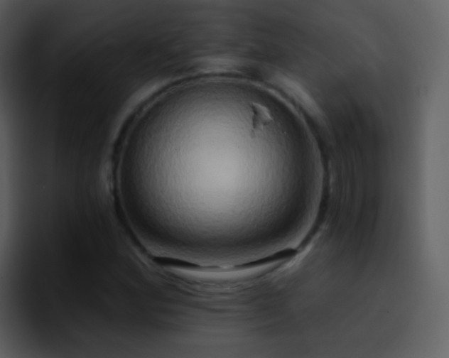X0000095681164200801081223