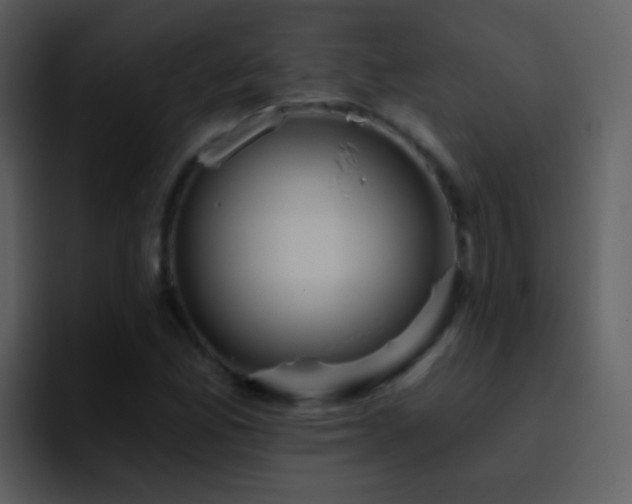 X0000095681165200801081223