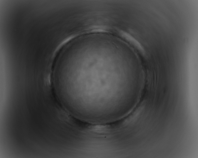 X0000095681166200801081223