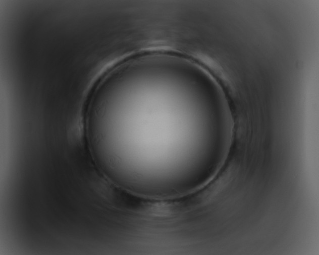 X0000095681167200801081223