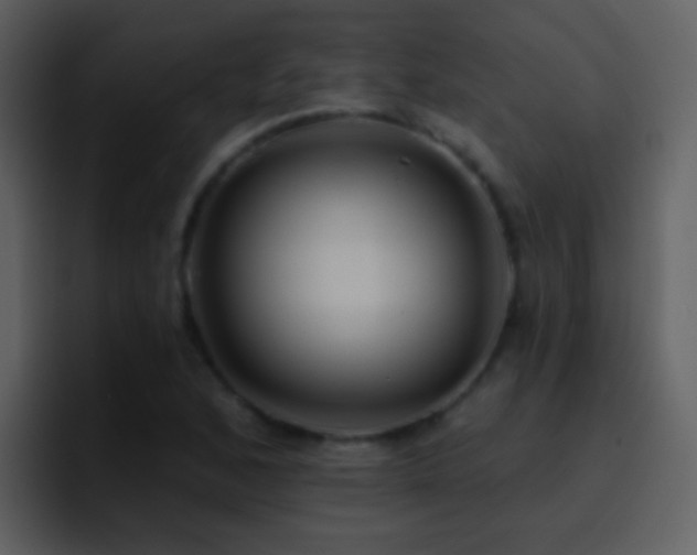 X0000095681168200801081223