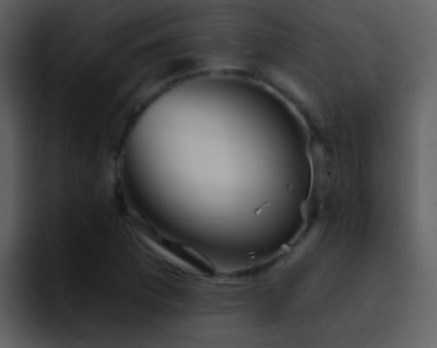 X0000095681169200801081223