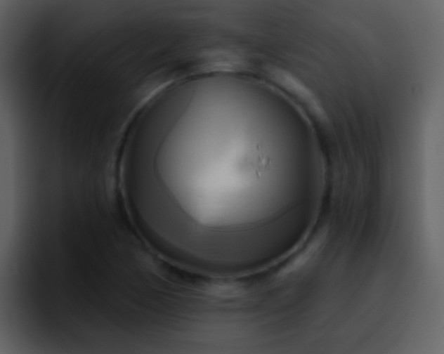 X0000095681170200801081223